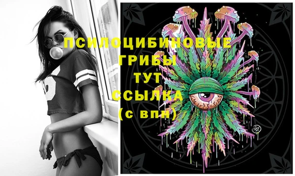 mix Абаза